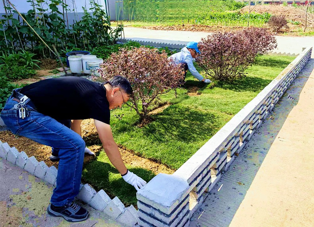 /uploads/image/2025/06/06/13f2b87e4a3fef3f223459f4f4c8d188.jpg 0.jpg