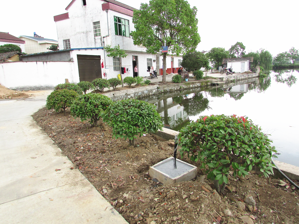 /uploads/image/2025/06/09/0ece5c326bb6a5542a14370ce1729efe.png 图片1_副本.png