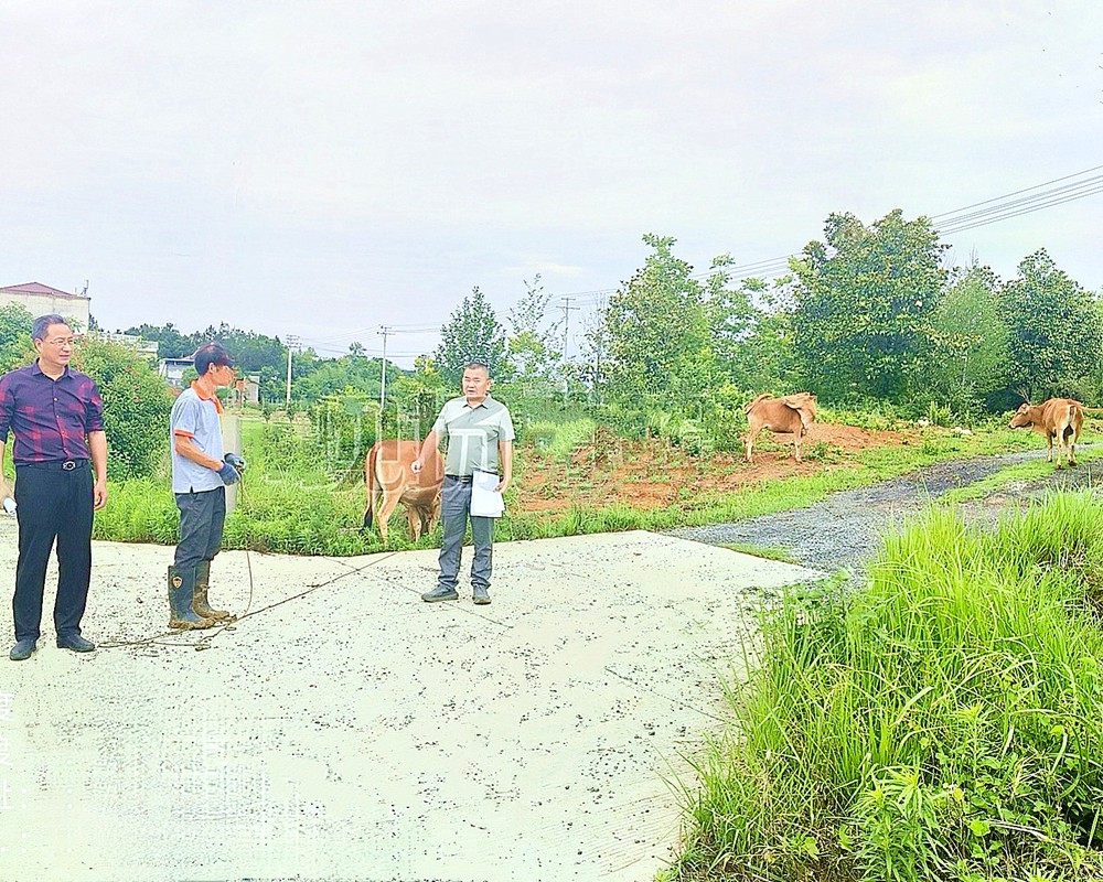 /uploads/image/2025/06/11/b28846eeded1e02a8983abd4006daacd.jpg 吴祥付养牛.jpg