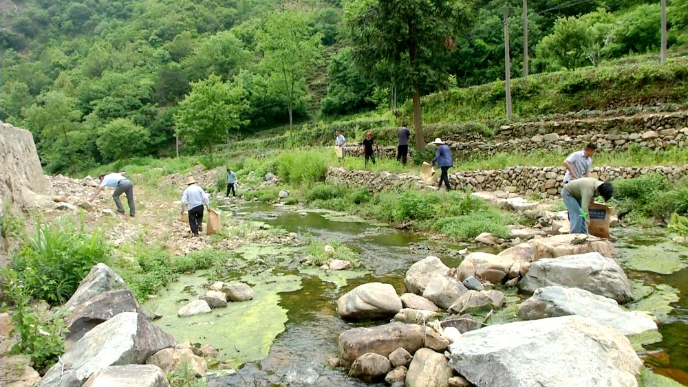 /uploads/image/2025/06/13/2375d4ecfc0876a145c5865f07912cc3.jpg 黄甲镇宜居行动 清理河道垃圾.jpg