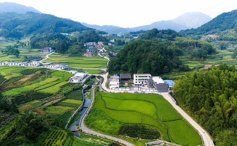 /uploads/image/2025/06/24/4035819bb0fa307a34496a25f277b473.jpg 2.jpg