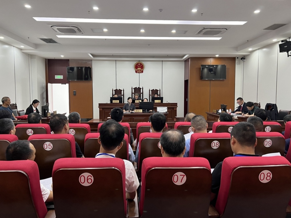 /uploads/image/2025/06/25/f2e1ab85b3f631700d42b96c7554ddd0.jpg 桐城市人大常委会组织开展“法院开放日”暨旁听庭审活动 (4)_副本.jpg