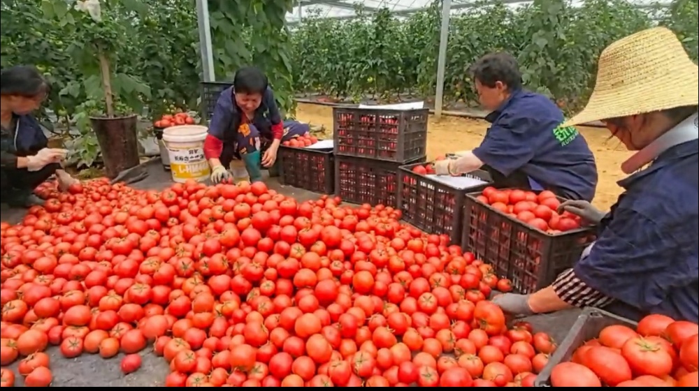 /uploads/image/2025/06/25/ad1b34a38cc50e926471fcaa091c803e.jpg 微信图片_20250625145920.jpg