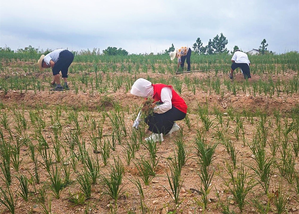 /uploads/image/2025/06/27/04236e26176fab5f6a8ec4fb10adb95c.jpg 4.jpg