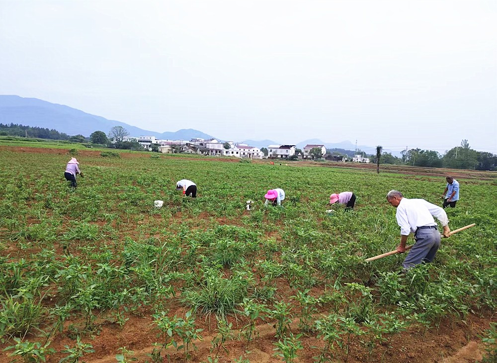 /uploads/image/2025/06/30/cea4775fadde0419516e546d8aaadd1f.jpg 2.jpg