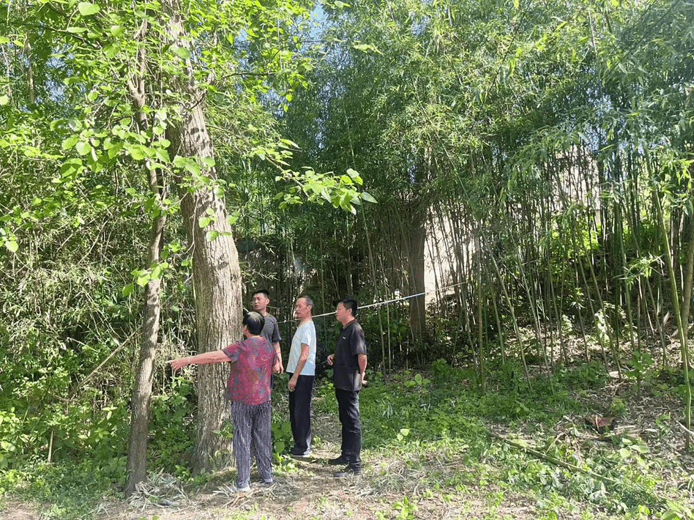 /uploads/image/2025/07/03/65a7946a72d1a9328175ab2d0a2ee771.png 图片1_副本_new.png