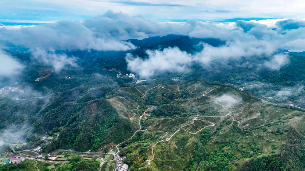 20250707党建引领 产业赋能 桐城市石窑村绘就和美乡村新图景_.jpg