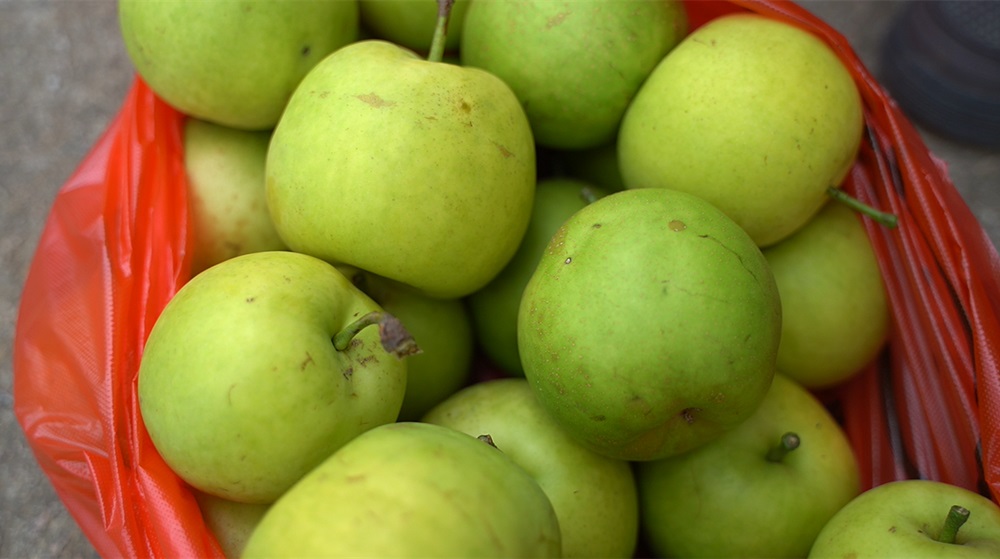 /uploads/image/2025/07/15/6422a2cbc09d91b598ba9500fefafeee.jpg 12.jpg