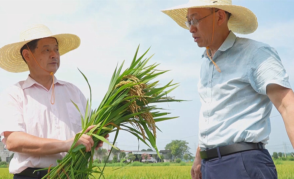 /uploads/image/2025/07/17/6a8e11e509312c6469d69f8b7b4c7a8f.jpg 2.jpg