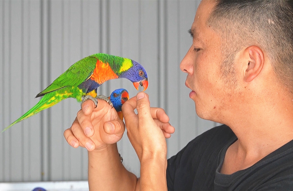 /uploads/image/2025/07/18/4b18d543a60ba64f4b019ffc3bf12699.jpg 10.jpg