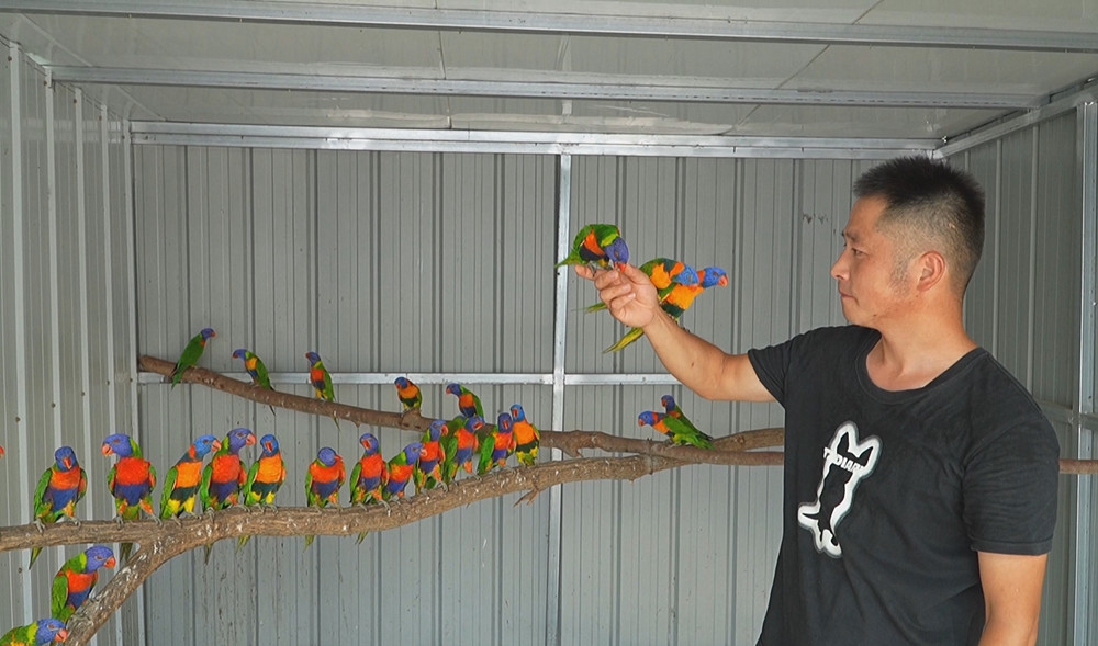 /uploads/image/2025/07/18/0ecc4d180de48c1818e63bee30105777.jpg 11.jpg