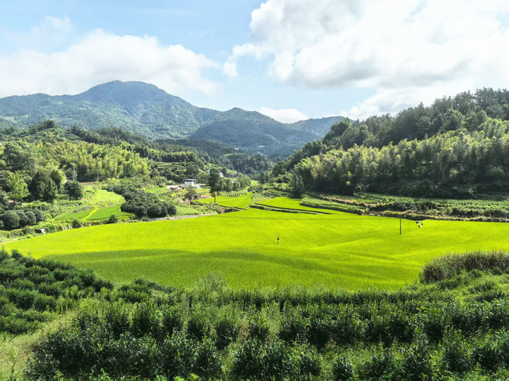 /uploads/image/2025/07/18/5e3d6e94c07955de814166d89be1483d.jpg E5AAC1D0AA6FDB5CAEFC36753A0C8FAE_副本.jpg