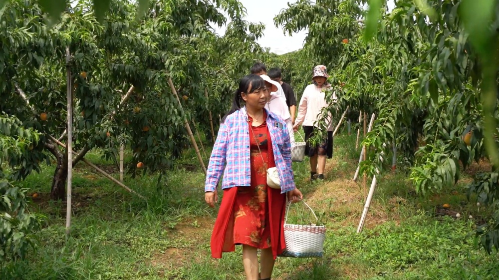 /uploads/image/2025/07/21/c3c73d840a977f7817126ca46c5f72fc.jpg 微信图片_20250721112208.jpg