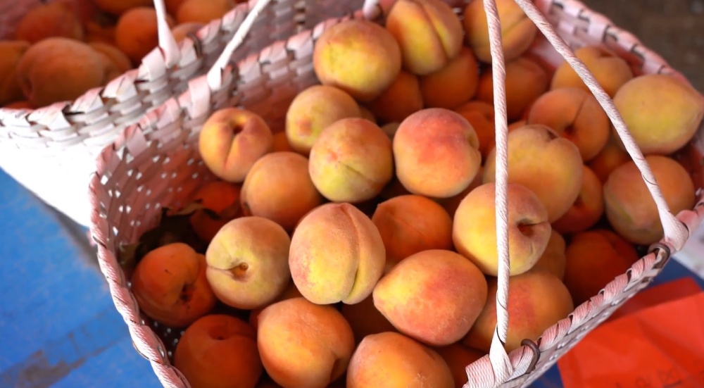 /uploads/image/2025/07/21/0db78a48662a67fd2a3446bdb1f76a96.jpg 微信图片_20250721112158.jpg