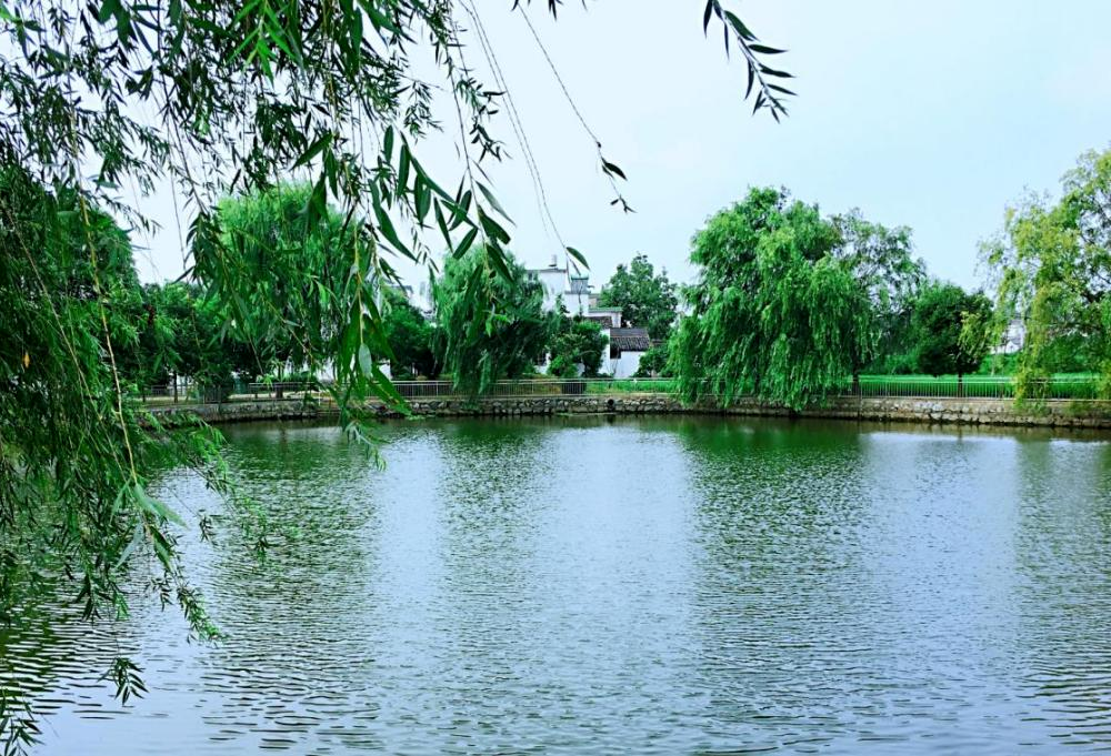 /uploads/image/2025/07/21/119e1a05a9caf8e5b7bc8e2f42196b0b.png 2.png