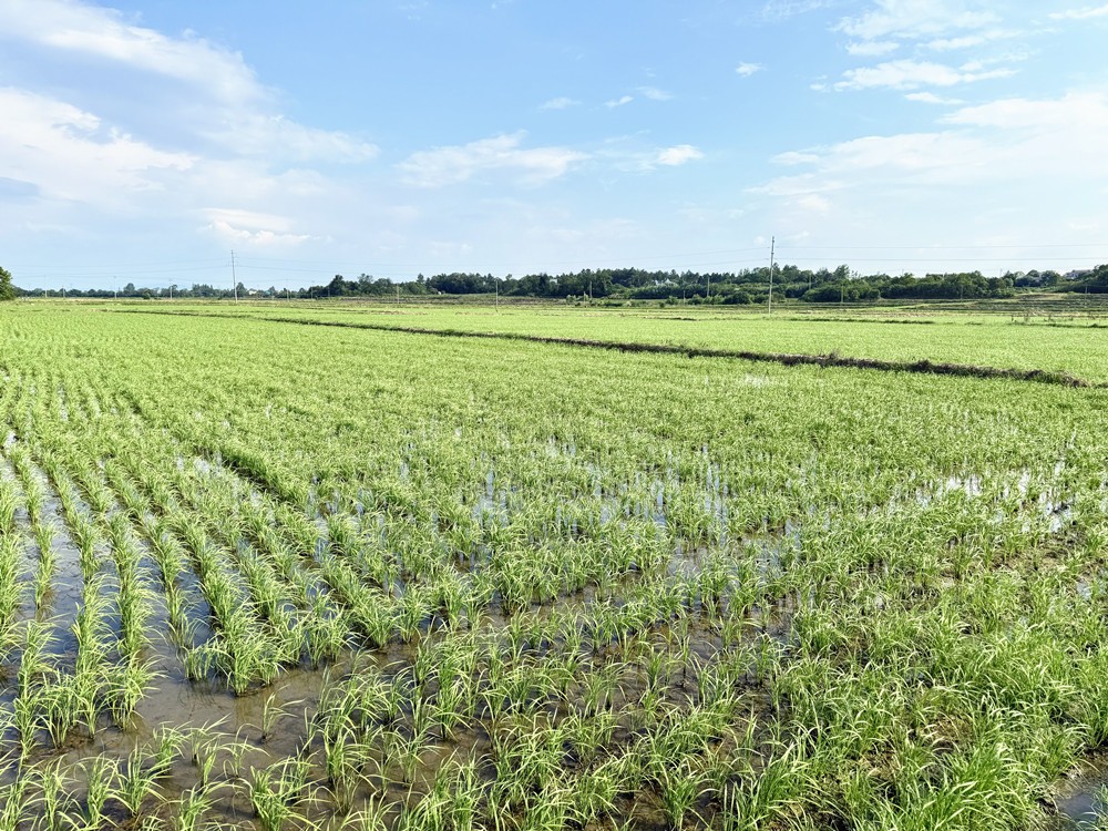 /uploads/image/2025/07/23/0854f652b84f92593b21613d1b0d436b.jpg 7234_副本.jpg