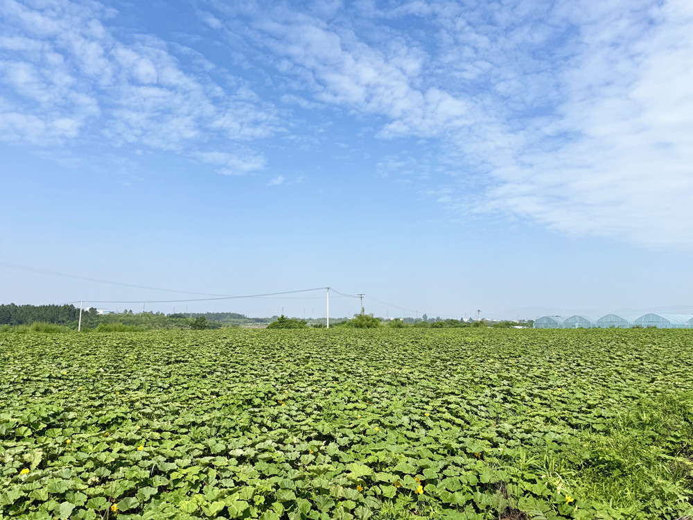 /uploads/image/2025/07/23/2601792d8381896db5238e138b04011c.jpg 7235_副本.jpg