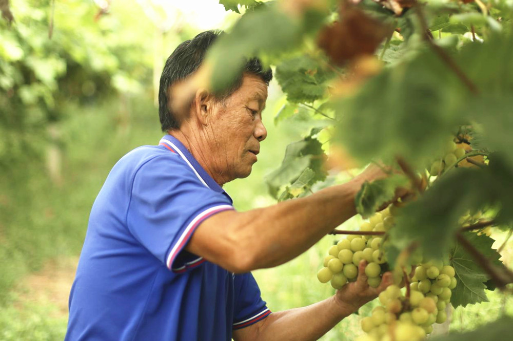 /uploads/image/2025/07/25/18c8e94d9f49a6c18a638d19f443e9b2.jpg 0.jpg