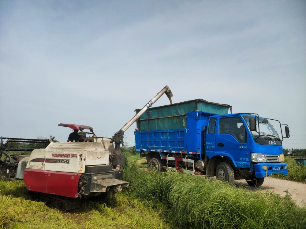 /uploads/image/2025/07/28/916466b605f2c70c3e3e595a6482e048.jpg 91d3c0c8ce8171122130aa3b62fd890_副本.jpg