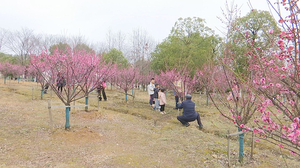 /uploads/image/2025/07/28/11f7d805b3322a7971955e2c328e8ca3.jpg 西郊公园.jpg