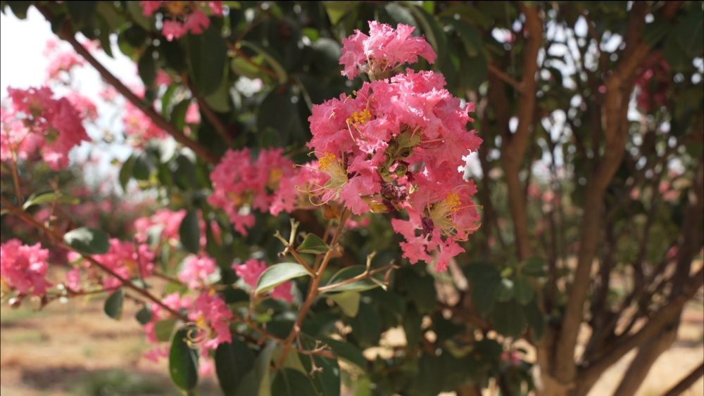 /uploads/image/2025/07/29/d03c748955770c6e92923920b3004cba.jpg 微信图片_20250729110648.jpg