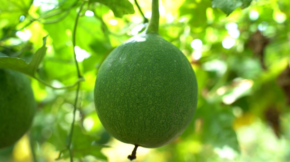 /uploads/image/2025/07/31/28cba3ea4324a19c7ebbce50b9c474bd.jpg 微信图片_20250730190631.jpg