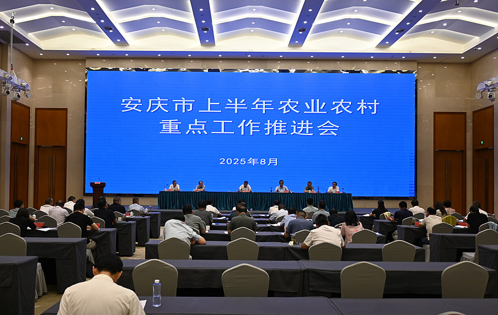 /uploads/image/2025/08/06/afef47cf56b953b88d8ee2deabff6c30.jpg 1(1)_副本.jpg