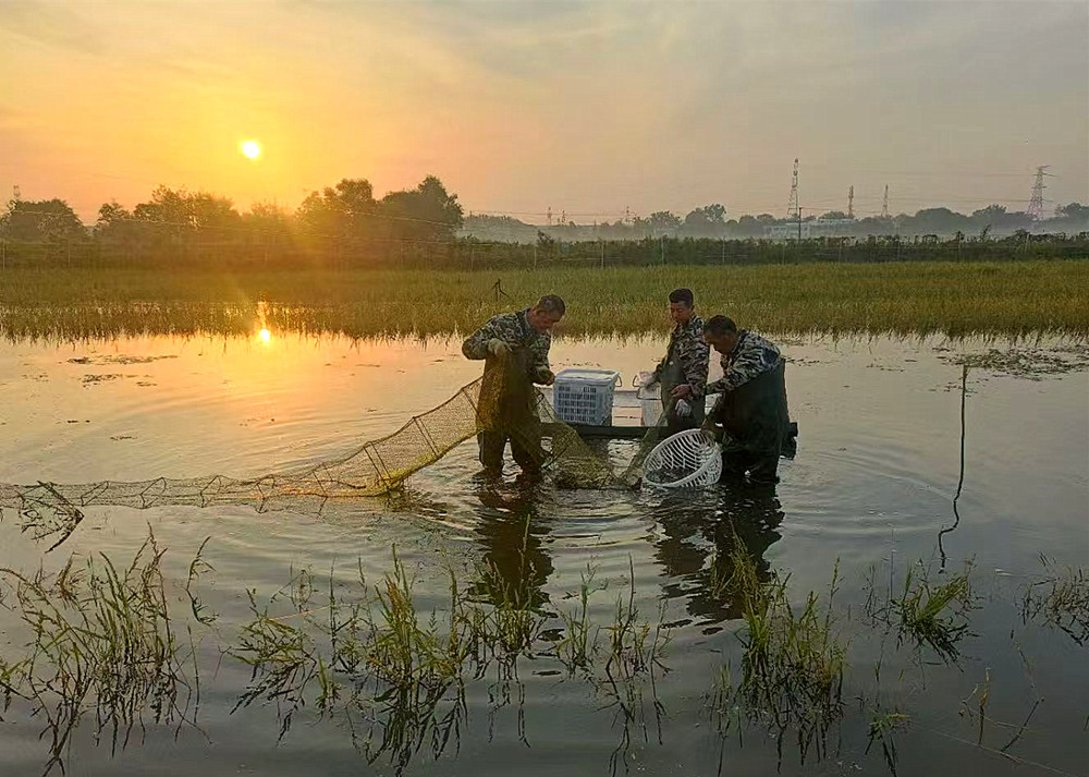 /uploads/image/2025/08/06/aeb39e00891a28c79162432a463d652a.jpg 1_副本.jpg