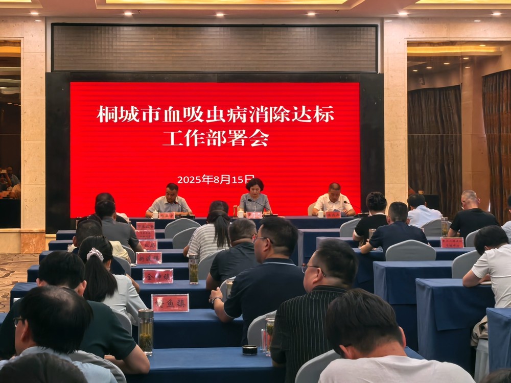 /uploads/image/2025/08/19/e5aec9e6c4bb04940d7181b641445055.jpg 图为会议现场.jpg