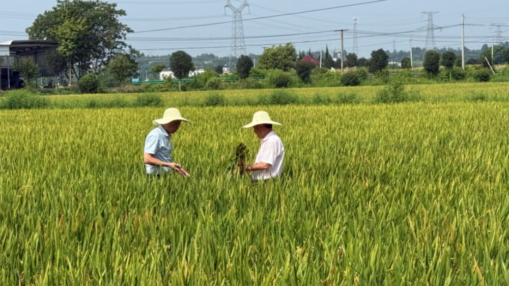 /uploads/image/2025/08/20/86ecbdaf854f67a5fbf2679479e51078.jpg 8201_副本.jpg