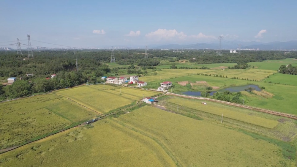 篮球赛(1) (1)_副本.jpg