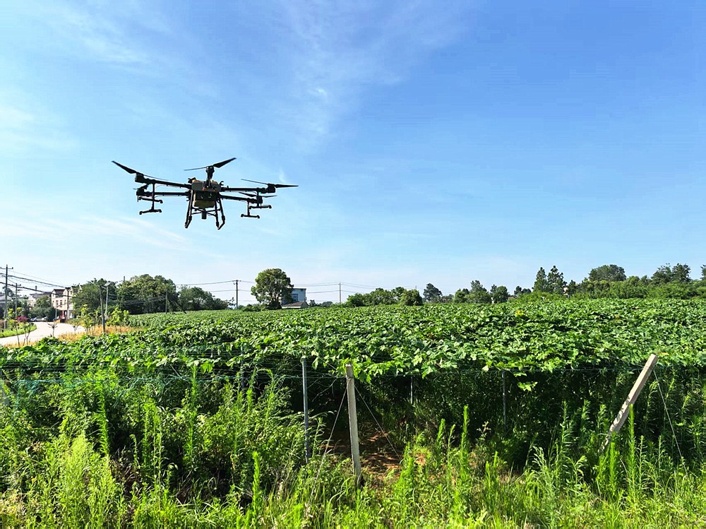 /uploads/image/2025/09/03/55069ac79eca25fa08a3e24f96fa34b3.jpg aec0280a591e75720c6a469243495e58_副本.jpg