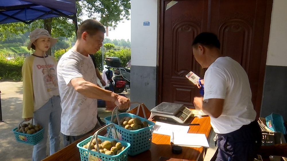 /uploads/image/2025/09/05/3b5da172da078b8db88d4e723dbc910b.jpg 猕猴桃.jpg