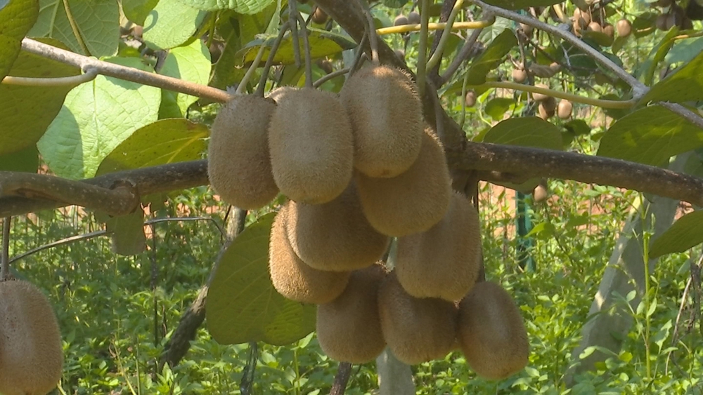 /uploads/image/2025/09/05/8eee66ca222127769af2bfcb4af1fbe3.jpg 1.1.jpg