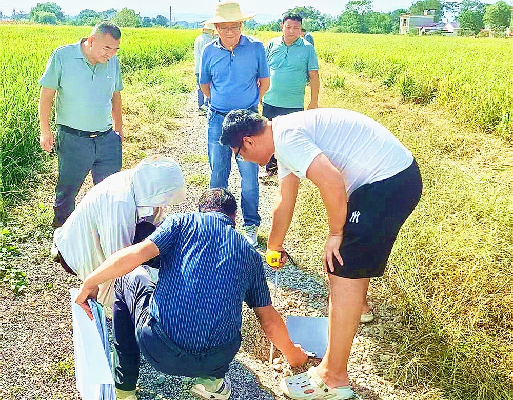 /uploads/image/2025/09/19/490774ae30d745f318c7221c71b74af9.jpg 0.jpg