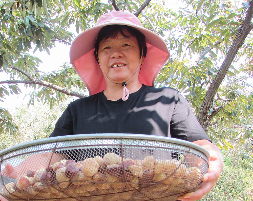 /uploads/image/2025/09/19/78833d3232338473dcfcb19832673601.jpg 11.jpg