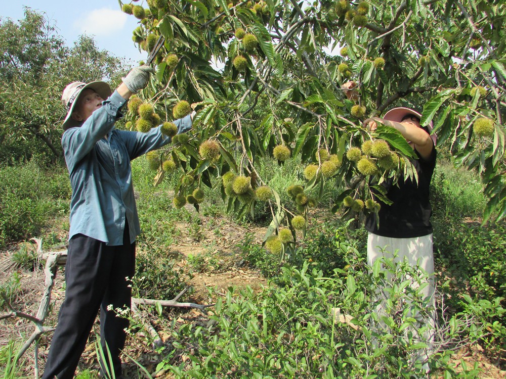 /uploads/image/2025/09/19/beb872f2f04f718d3c2b83418c21b217.jpg 10.jpg