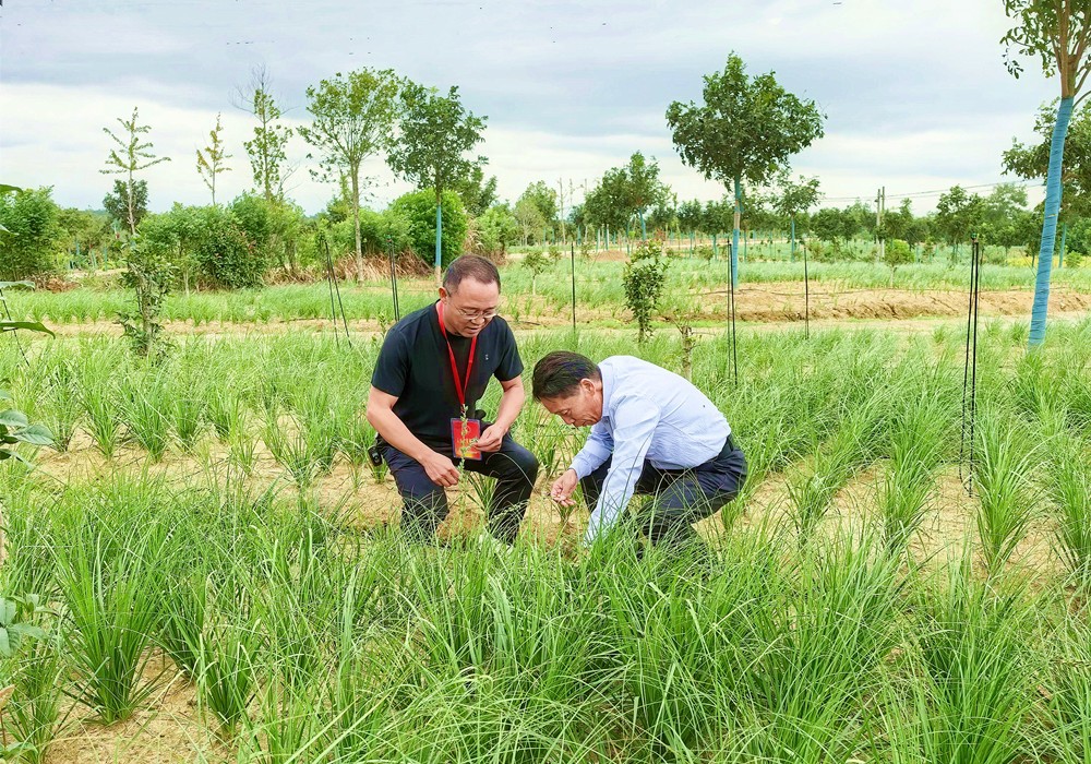 /uploads/image/2025/09/22/052ba4a4057c2ef5de0566aeb7bbf5f6.jpg 2.jpg