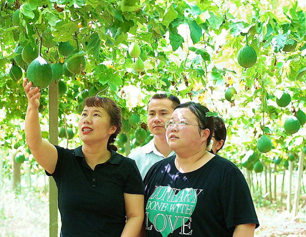 /uploads/image/2025/09/26/94e3fe5fe703dd497e675fec5ad3f633.jpg 琚姗姗_副本.jpg