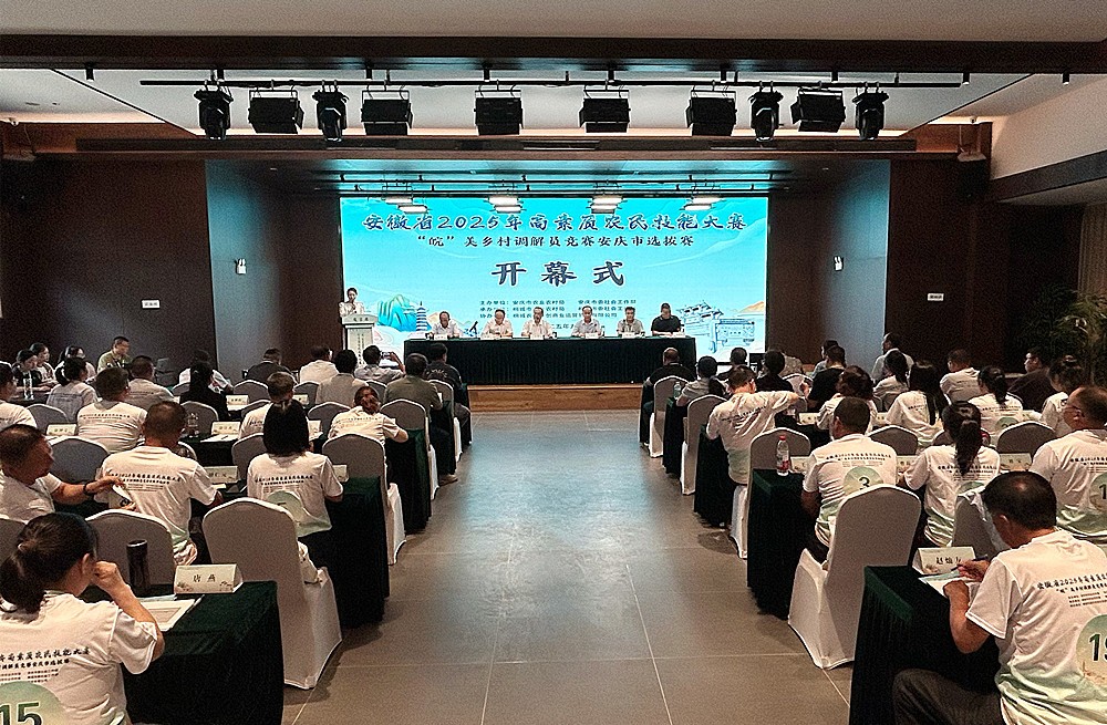 /uploads/image/2025/09/29/d3e4ed21c6f029d247f1edf3734addb3.jpg 0.jpg