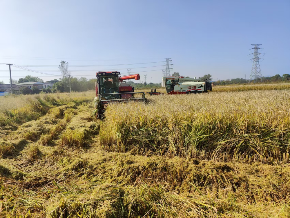 /uploads/image/2025/09/29/6c45659a765980c288ca7324aa760869.png 图片2_副本.png