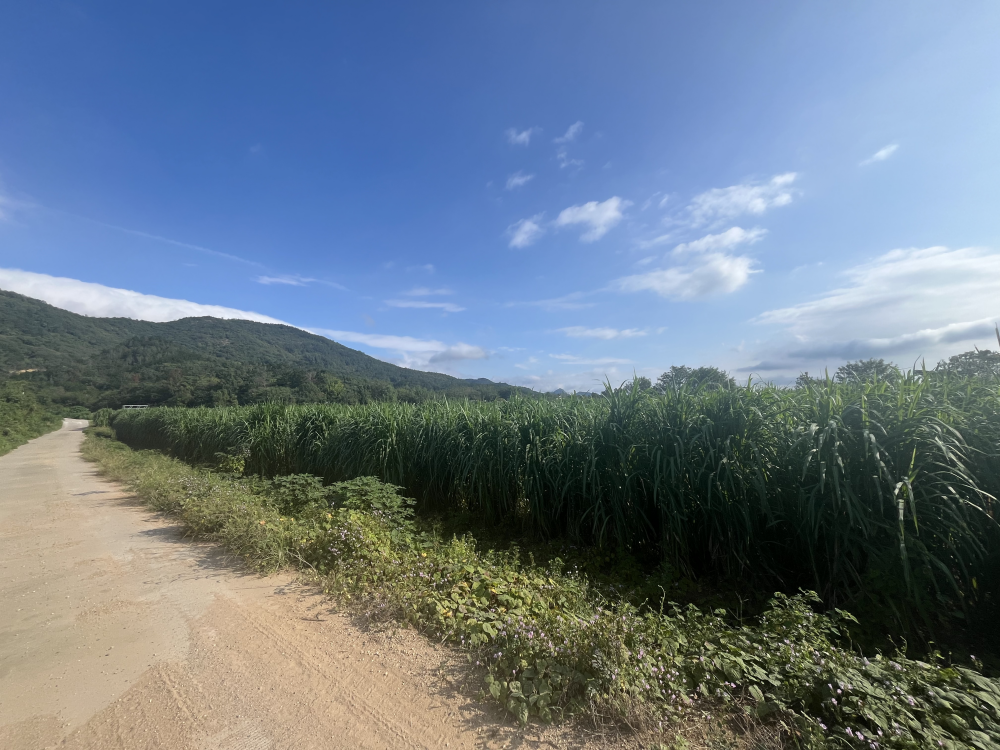 /uploads/image/2025/09/30/7bf1187ff770a6064e44ab9118fd11f8.png 图片234_副本.png