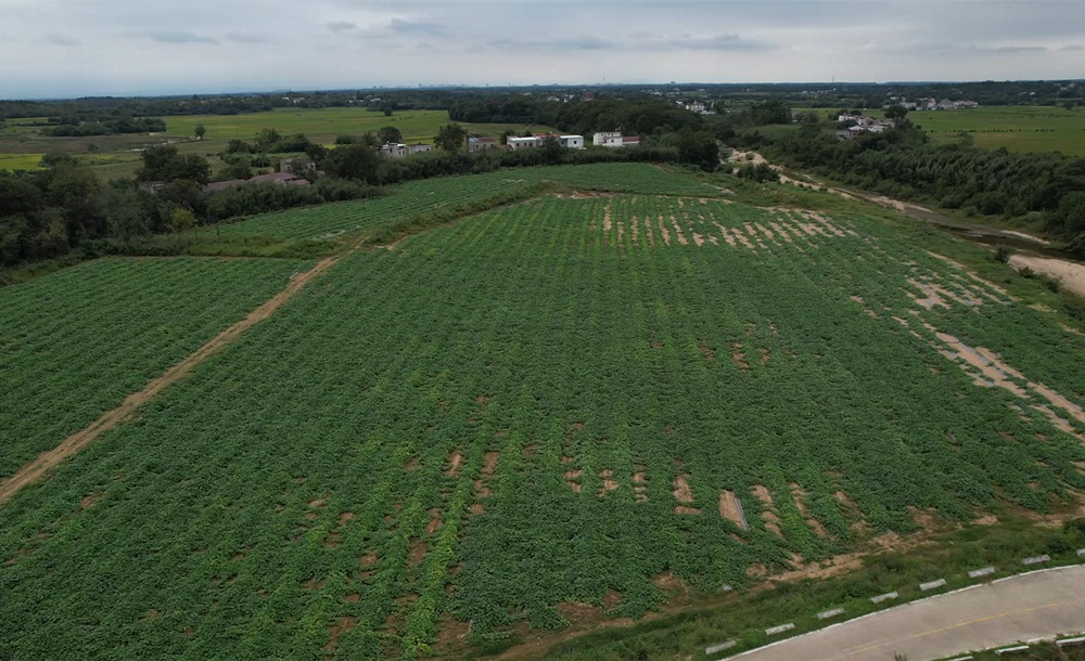 /uploads/image/2025/10/01/f3c6189030b4342f29146585cee28e96.jpg 1.jpg