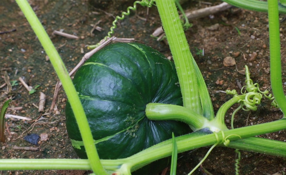 /uploads/image/2025/10/01/ce0c5aca5827498a4d76e51264473fff.jpg 2.jpg