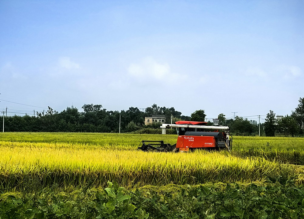 /uploads/image/2025/10/11/b3156d2629775d530b758e6285e75992.jpg 0.jpg