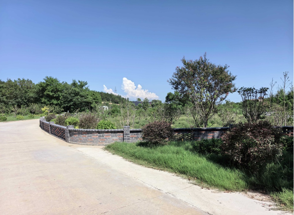 /uploads/image/2025/10/13/ade345f3b0fd9b5fa82e22cd58fa1242.jpg 黄岗2.jpg