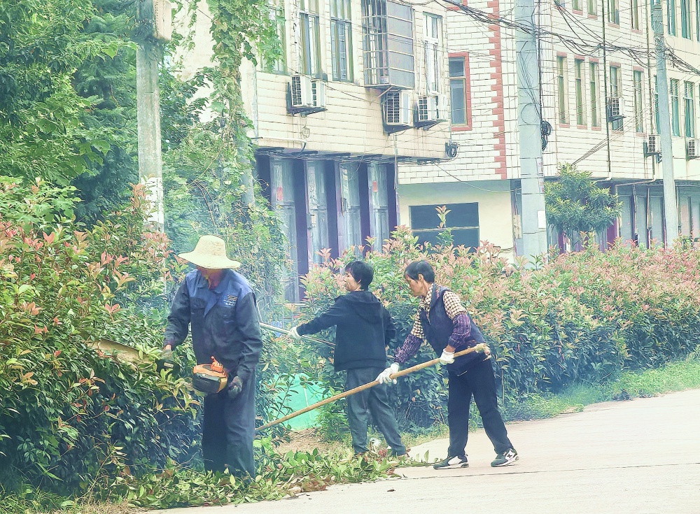 /uploads/image/2025/10/14/2b0e069b1e195e8f8cf88de72f9b61f6.jpg 伊洛.jpg