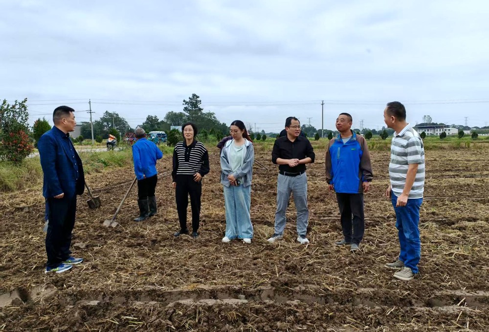 /uploads/image/2025/10/14/5c7dee6f73170eb7b5048051a248a52f.jpg 政协委员田间调研图片.jpg