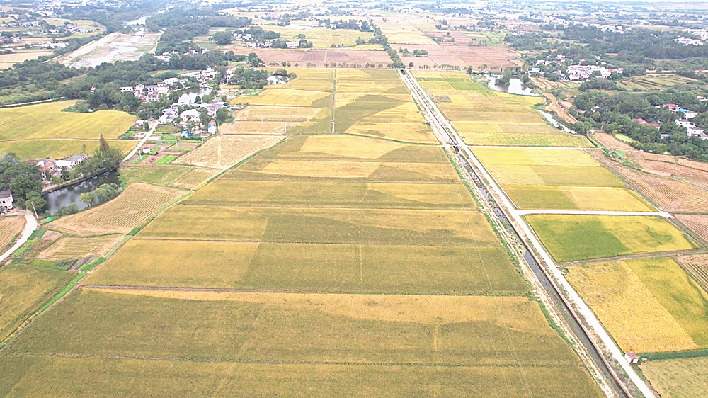 城乡融合 (1)_副本.jpg