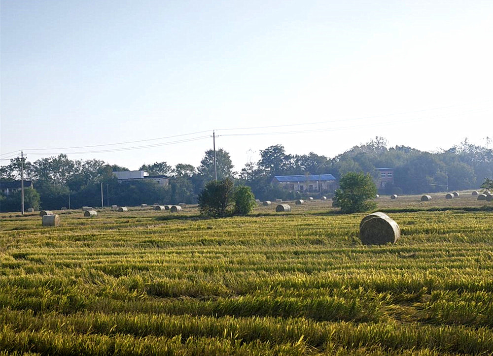 /uploads/image/2025/10/15/91e9c17ee68cc81391902393db09426c.jpg 微信图片_20251015162131_30_39.jpg